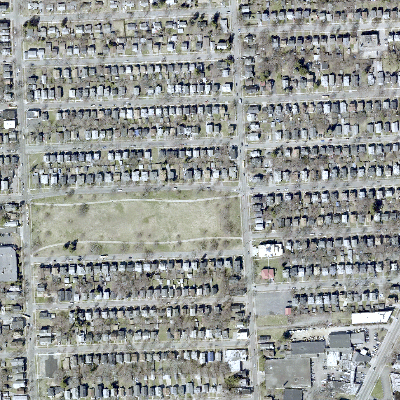 Export Image